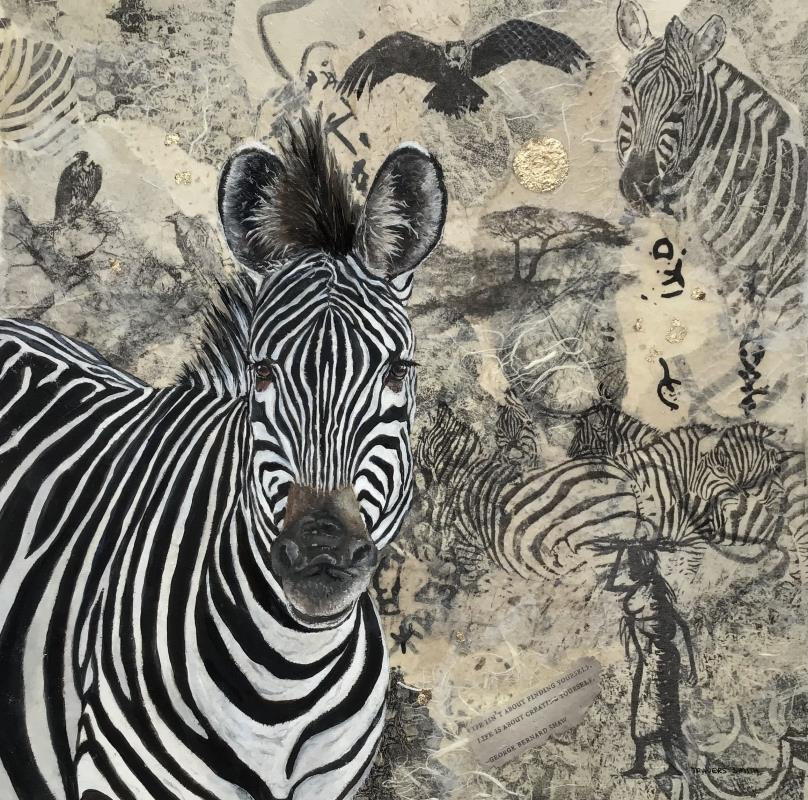 Crawshays Zebra in Luangwa